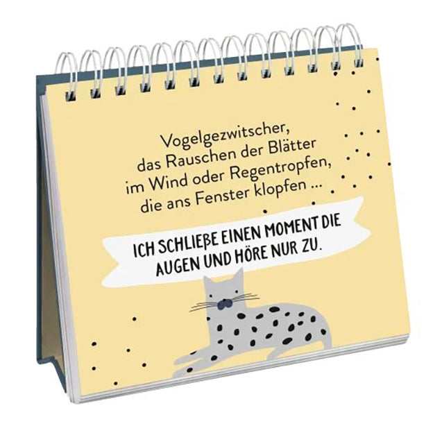 Buch - Cat philosophy