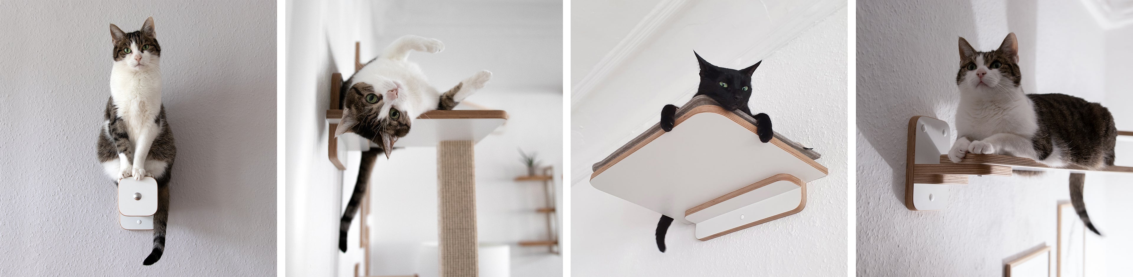 Katzenmöbel für die Wandmontage werden gezeigt - eine Kletterstufe, ein Wandkratzbaum, eine Wandliege & ein Catwalk. Die Katzenmöbel werden in Benutzung von einem getigerten & schwarzen Kater abgebildet. 