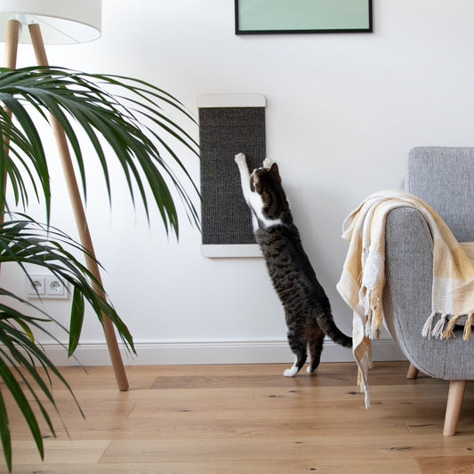 kratzFEST | Sisal Katzen KRATZBRETT für die Wand - weiß