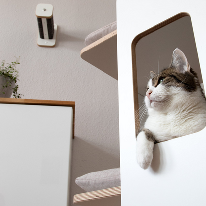 KRATZ- & LIEGETURM für Katzen mit Kratzfläche