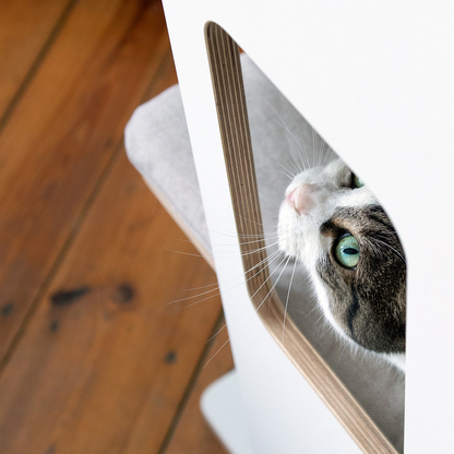 KRATZ- & LIEGETURM für Katzen mit Kratzfläche