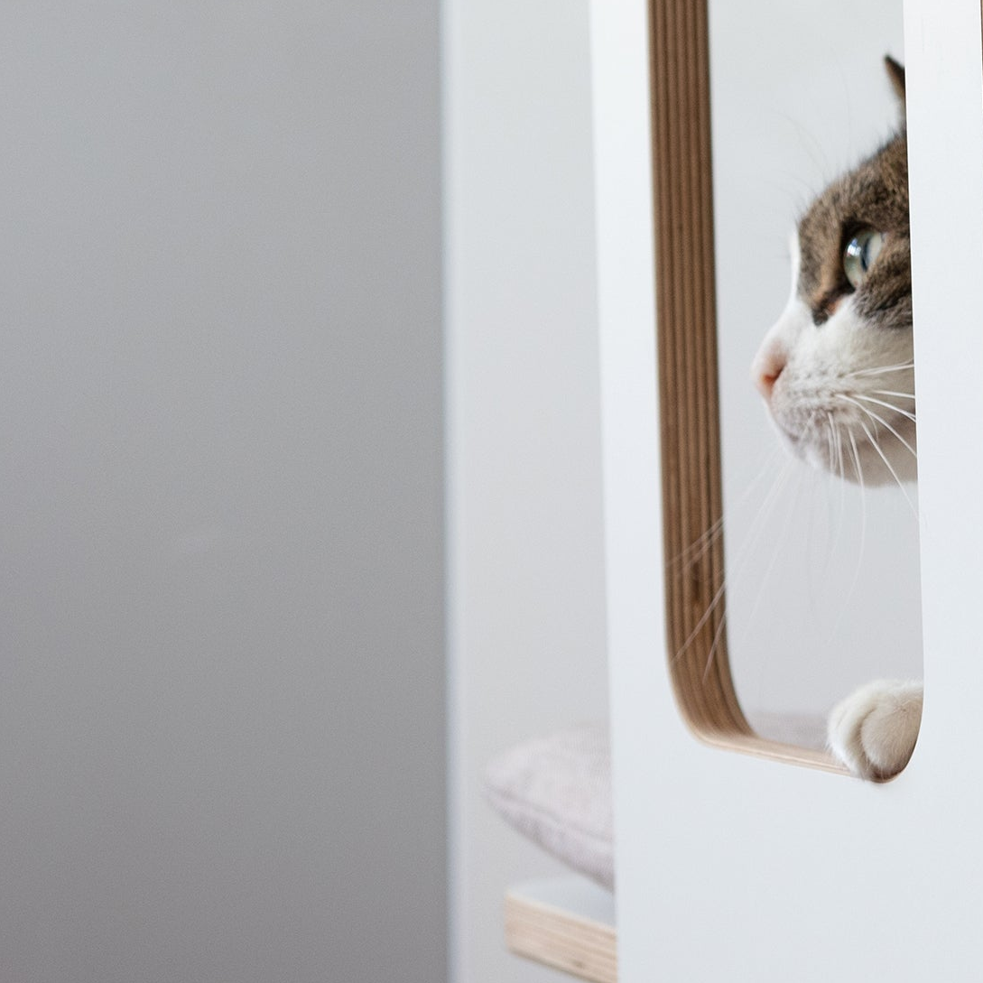 KRATZ- & LIEGETURM für Katzen mit Kratzfläche