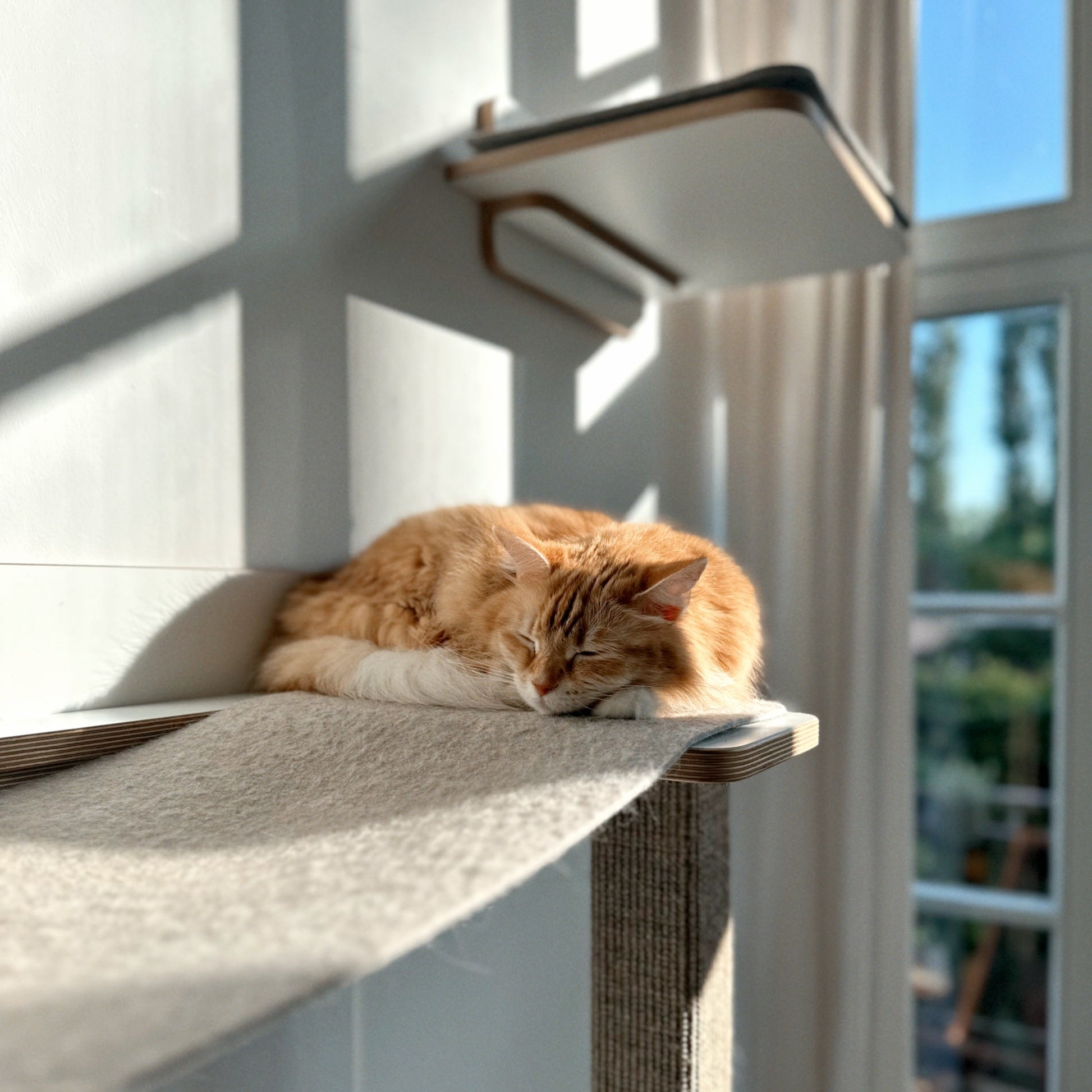 katzenbaum mit 2 hängematten 2 in 1