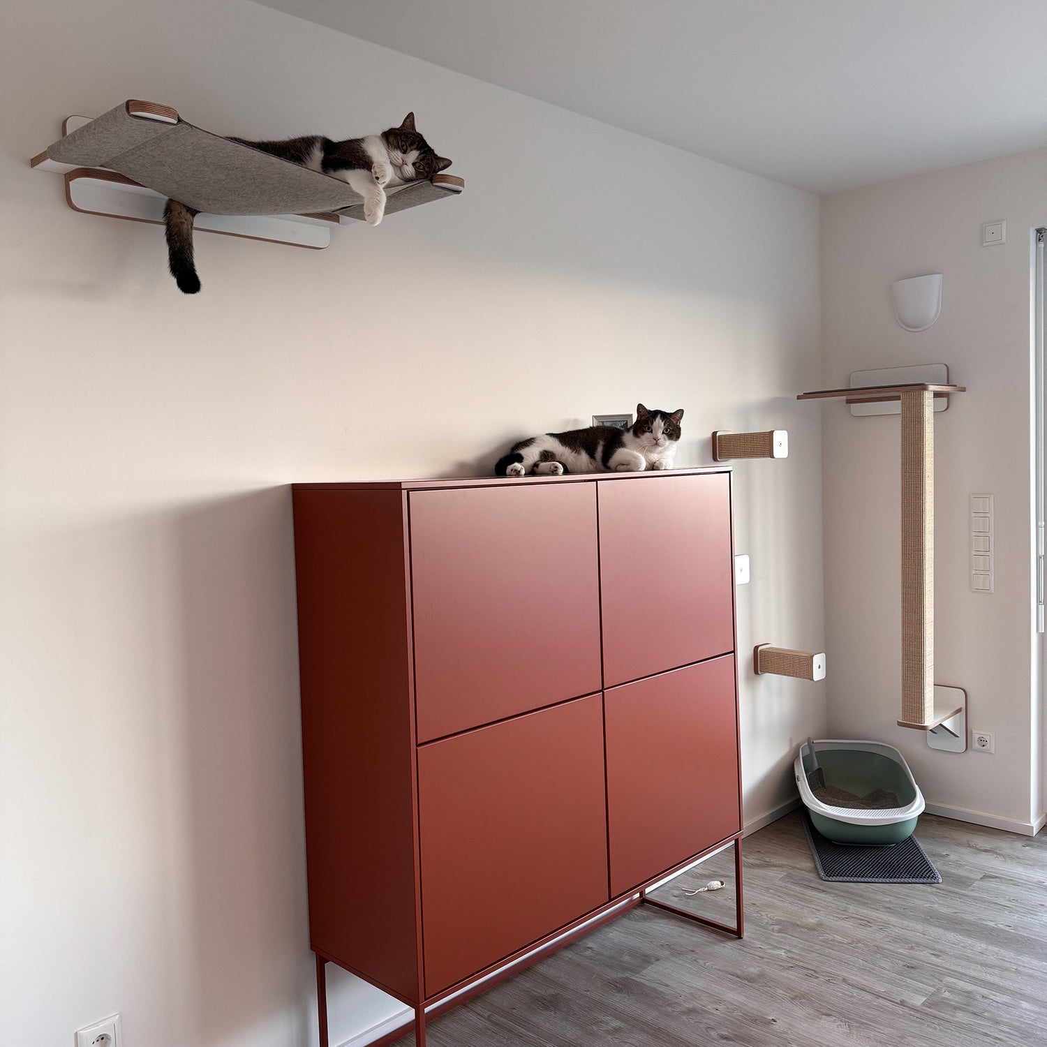 hängematten shop berlin Premium Hängematte für Katzen – Gemütliches Abhängen auf katzenart