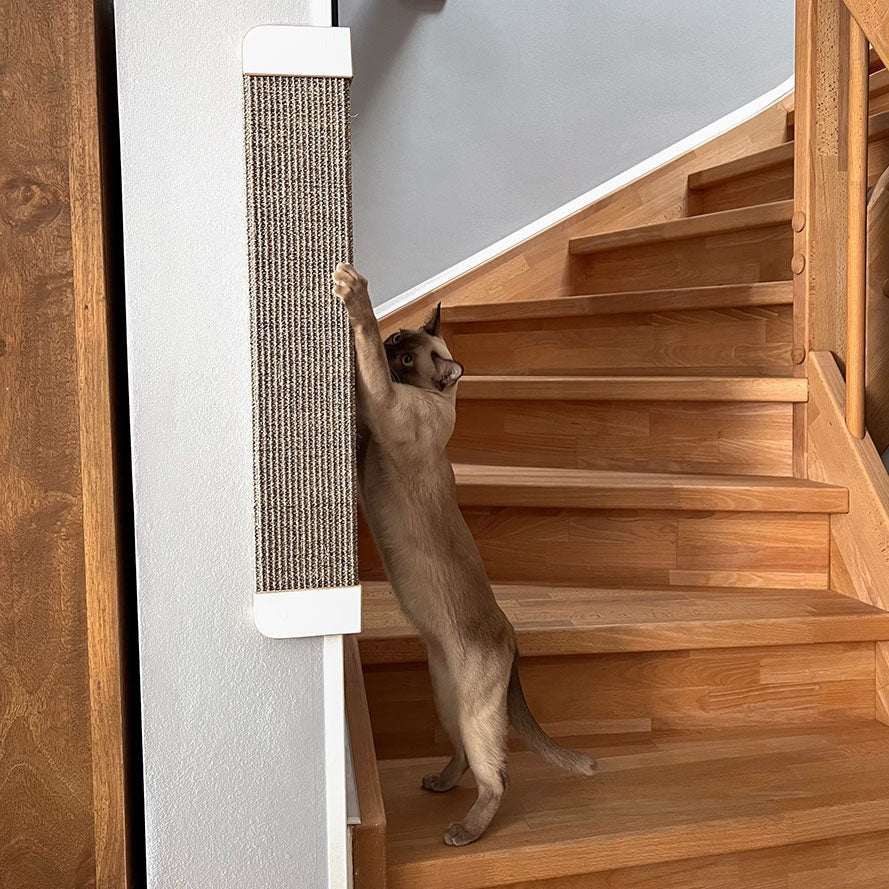 Cat scratchers for outlet wall corners