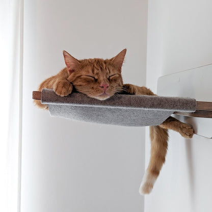 hängematte graz Premium Hängematte für Katzen – Gemütliches Abhängen auf katzenart