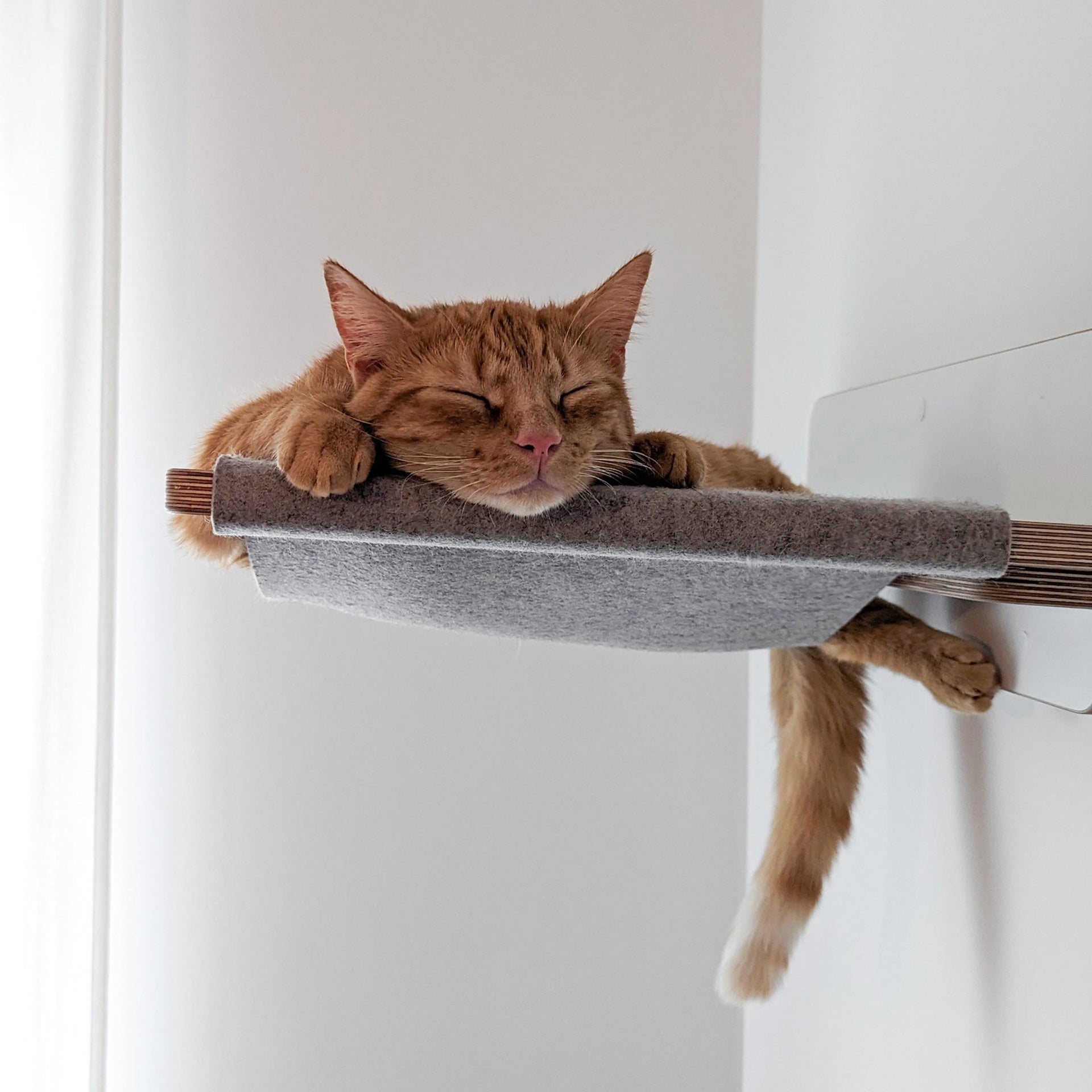 Premium Hängematte für Katzen – Gemütliches Abhängen auf katzenart