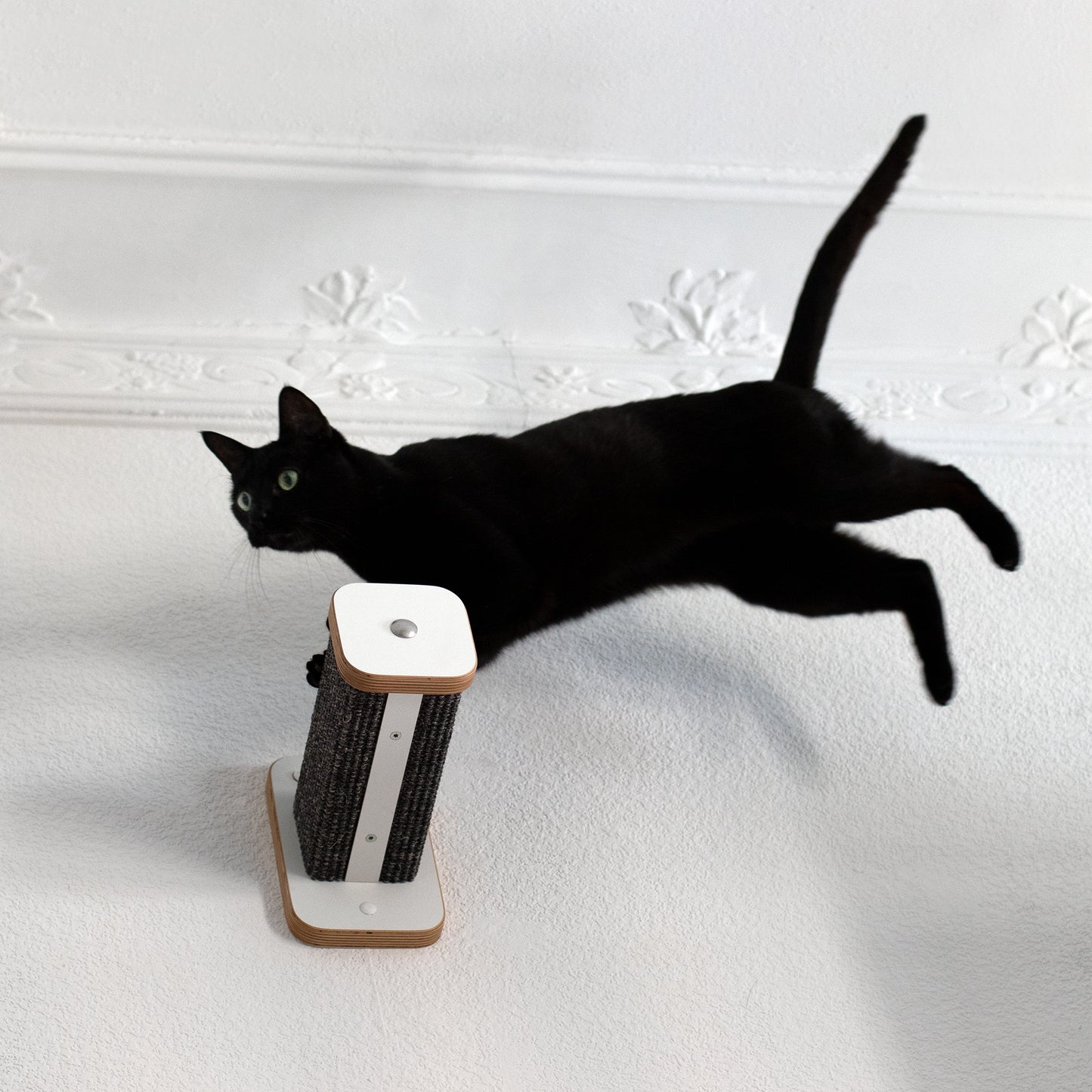 Eine schwarze Katze ist im Sprung auf einen Hüpfstamm, Kletterstufe dargestellt.