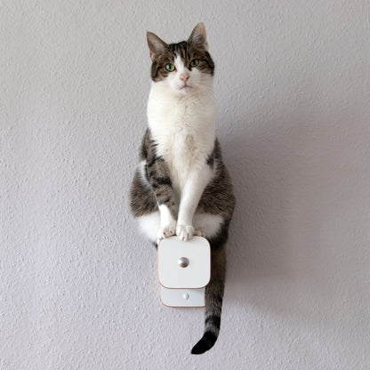 Eine Katze sitzt auf einem Hüpfstamm. Die Kletterstufe ist frontal abgebildet.