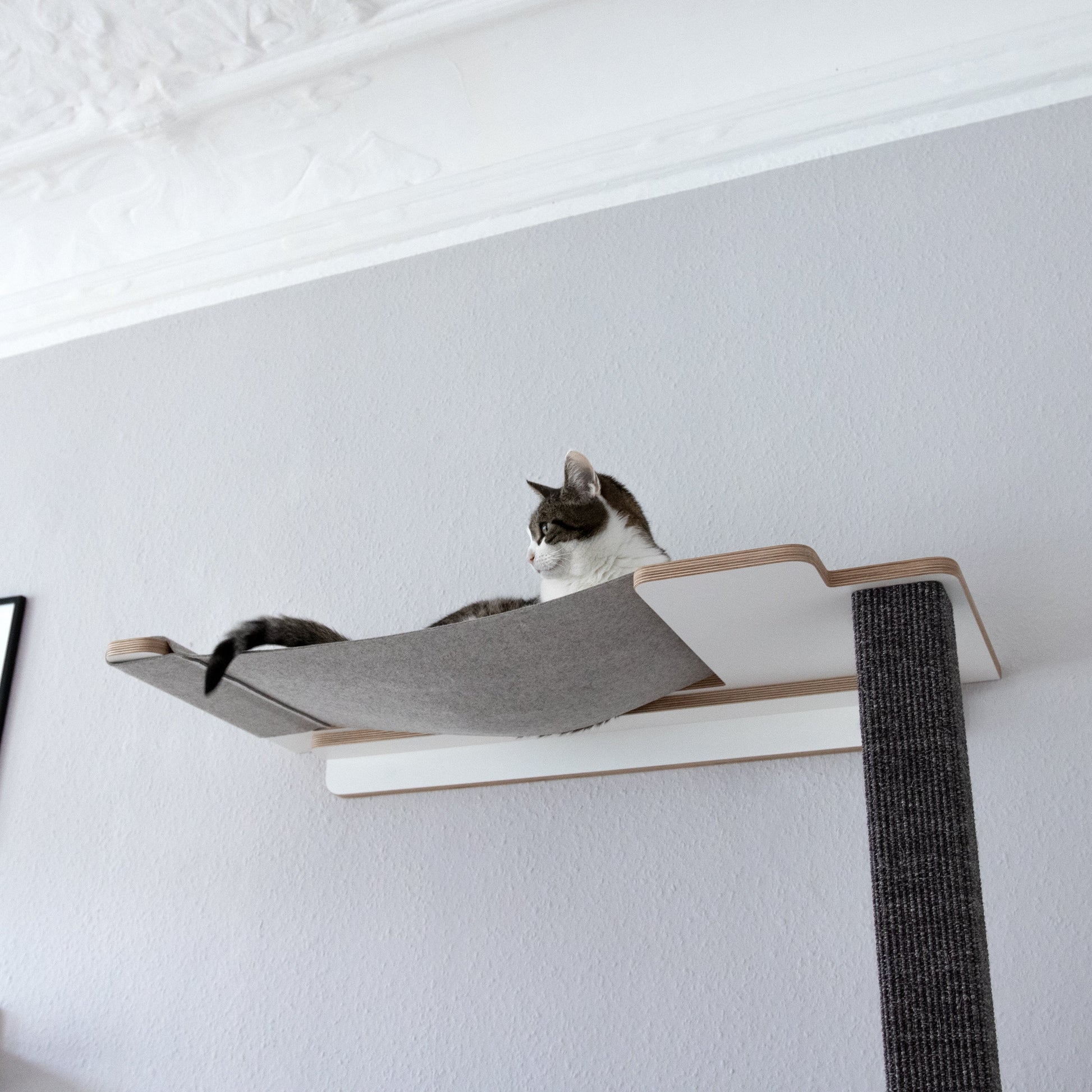 hängematte katze diy 2 in 1