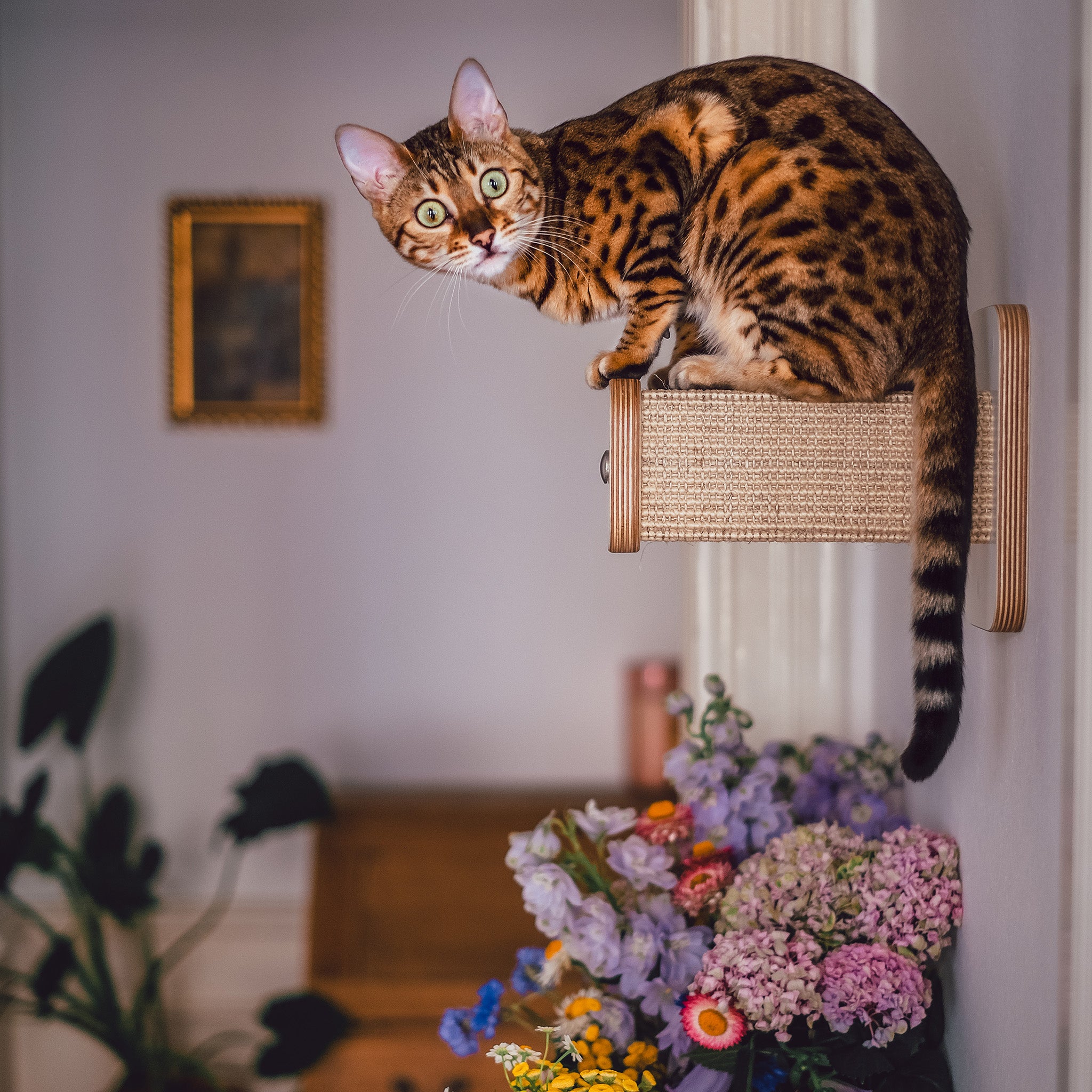 KATZENARTikel ♥ Minimalistische Katzenmöbel - Katzenart Katzenmoebel Cleo 01 KATZENARTikel ♥ Minimalistische Katzenmöbel - Katzenart Katzenmoebel Cleo 01