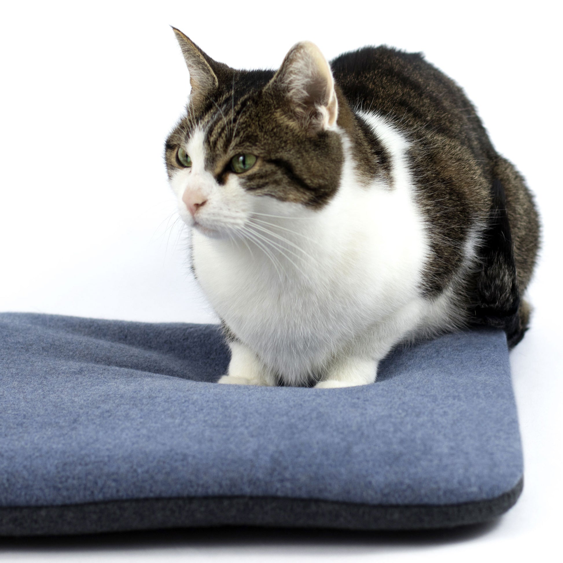 Katzenkissen ♥ bunte, kuschelige Kissen für Deine Katze – katzenart